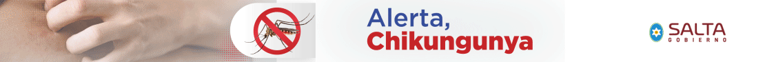 Banner publicitario